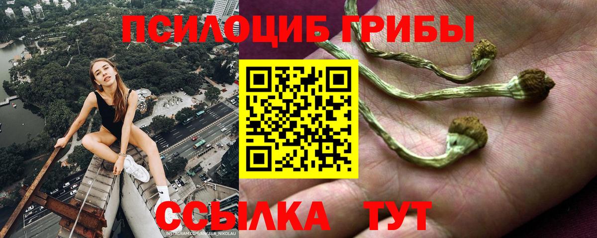 Псилоцибиновые грибы MAGIC MUSHROOMS Сертолово