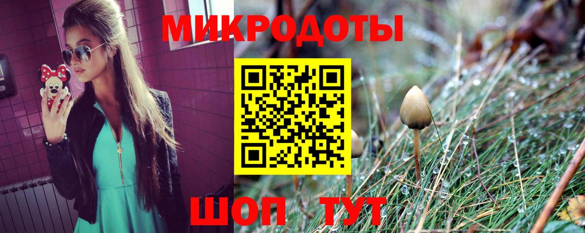 Сертолово  Галлюциногенные грибы Psilocybe  Вход с VPN  Псилоцибиновые грибы Psilocybine cubensis 