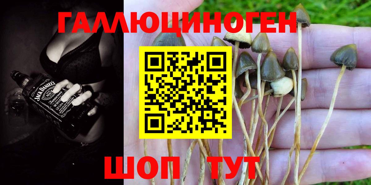 Cocaine  Вход с VPN  Меф кристаллы  Мефедрон  NBOMe  Гашиш  Сертолово  Бошки Шишки  ТГК  Гашиш 